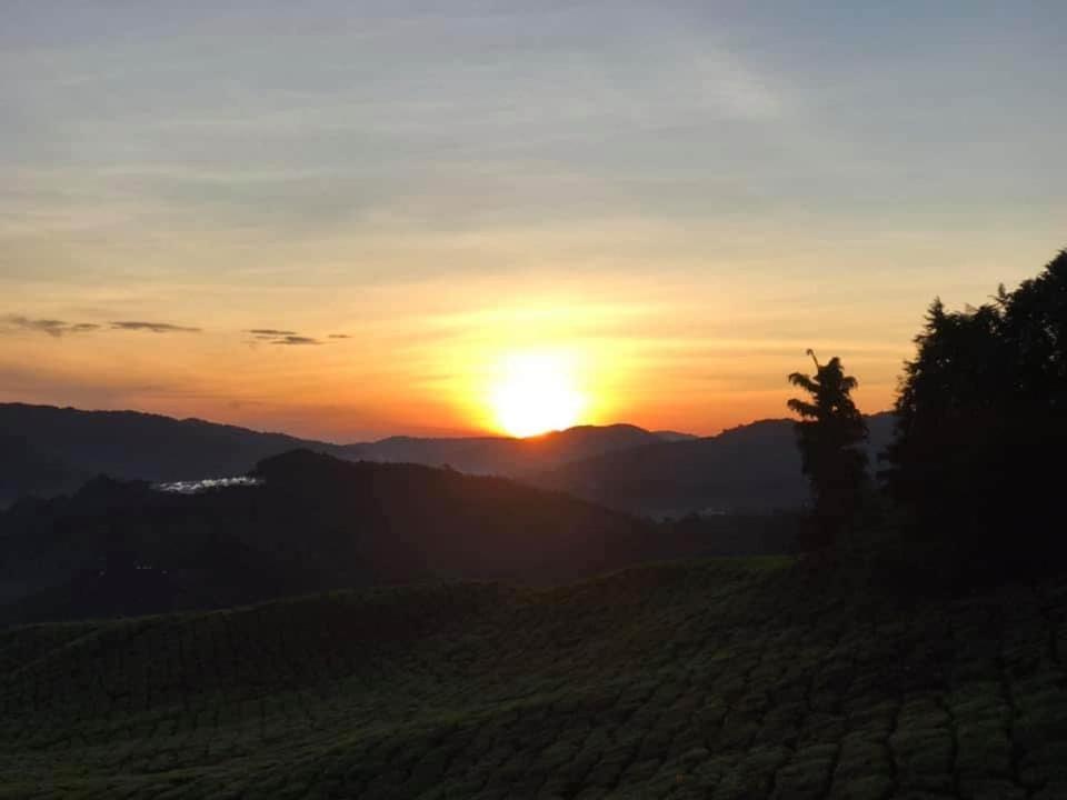 Muslim Homstay@crown Imperial Court Cameron Highlands
